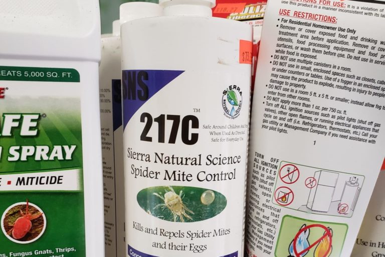 Trouble with spider mites_7901463599150863228_n